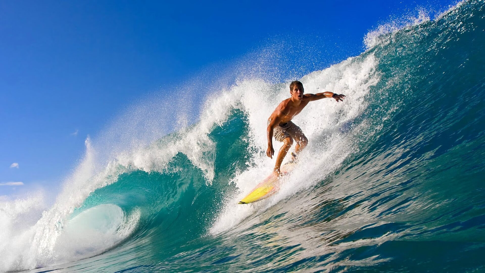 “雪域霸主：白色赛场的冠军归来”，雪域白图片